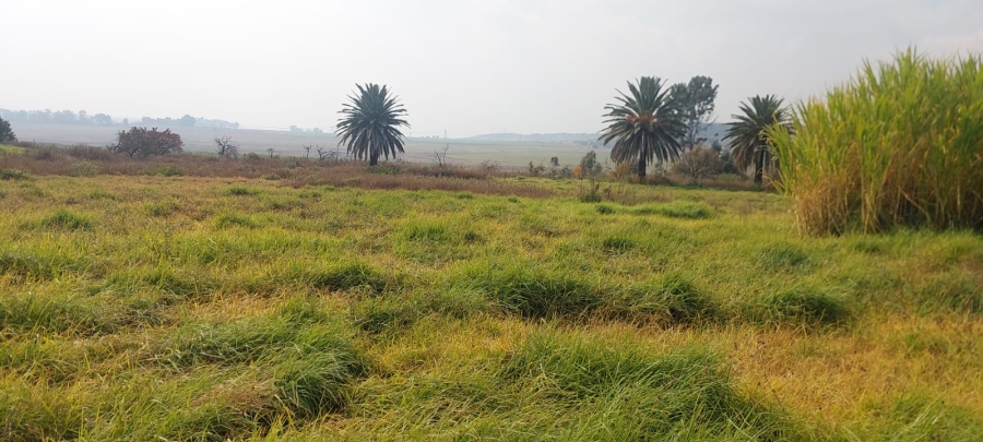 2 Bedroom Property for Sale in Blesboklaagte Gauteng