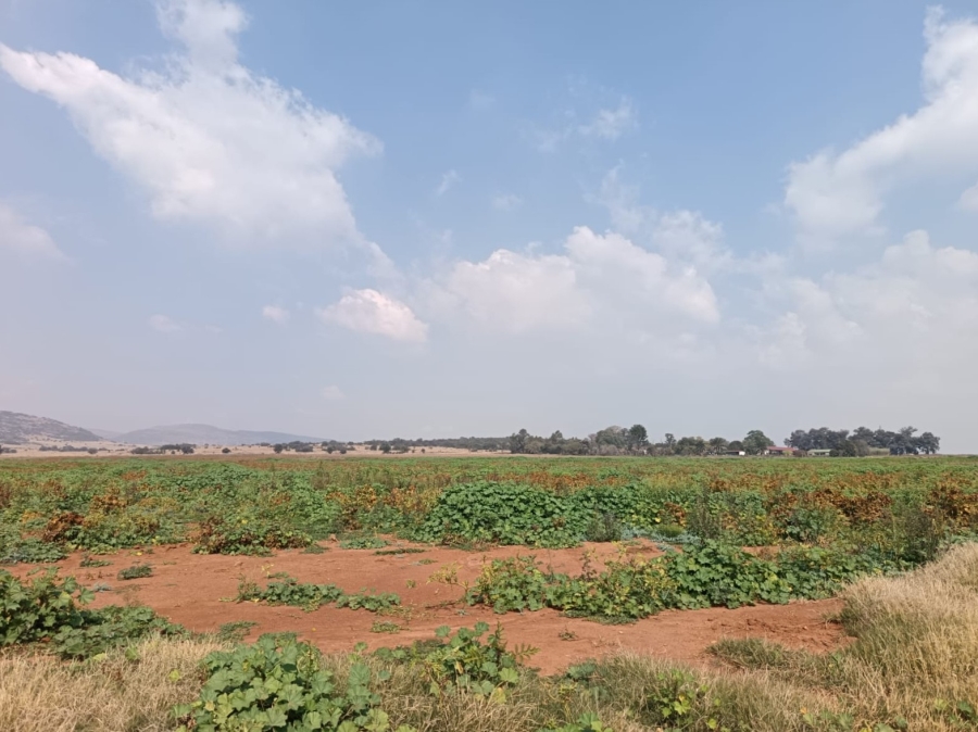 2 Bedroom Property for Sale in Blesboklaagte Gauteng
