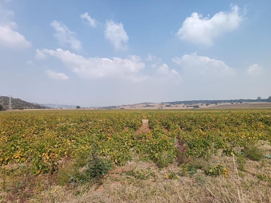 2 Bedroom Property for Sale in Blesboklaagte Gauteng