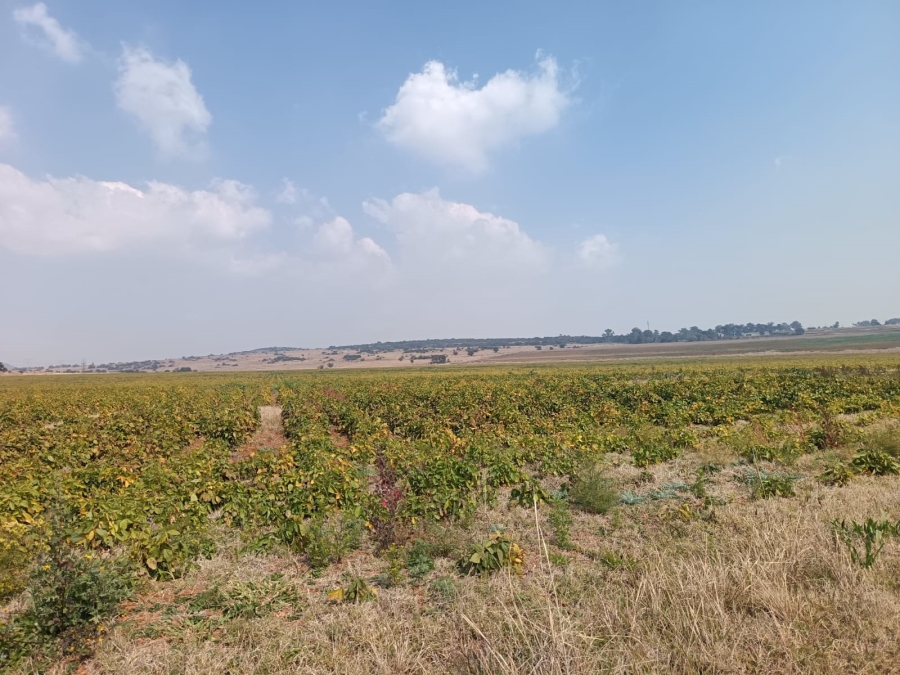 2 Bedroom Property for Sale in Blesboklaagte Gauteng