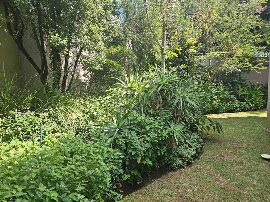 To Let 3 Bedroom Property for Rent in Dunkeld Gauteng