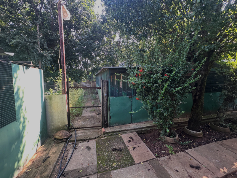 4 Bedroom Property for Sale in Unitas Park Gauteng