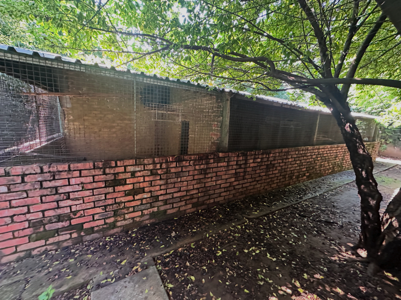 4 Bedroom Property for Sale in Unitas Park Gauteng