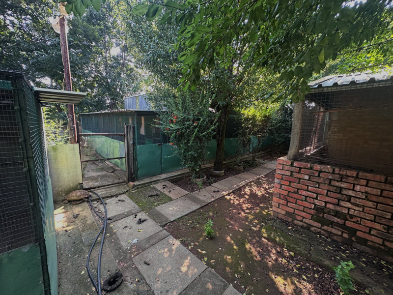 4 Bedroom Property for Sale in Unitas Park Gauteng