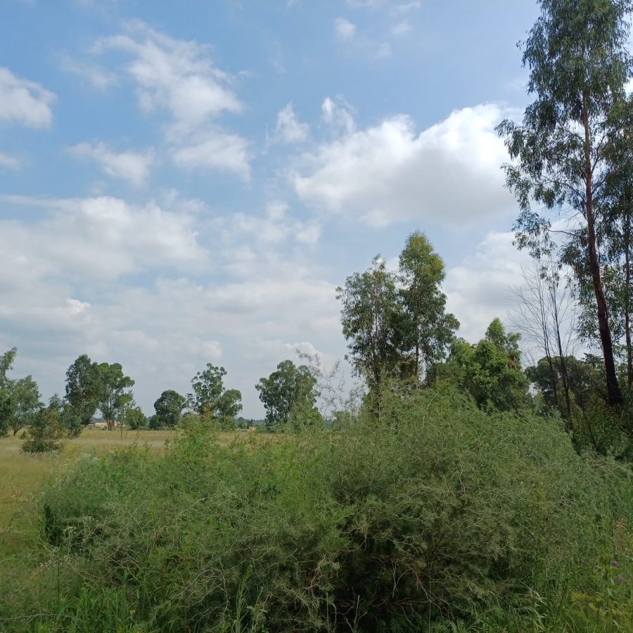 0 Bedroom Property for Sale in Ophir A H Gauteng