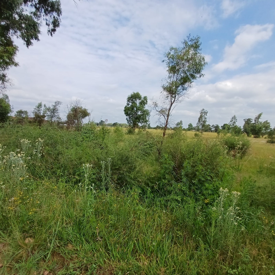 0 Bedroom Property for Sale in Ophir A H Gauteng