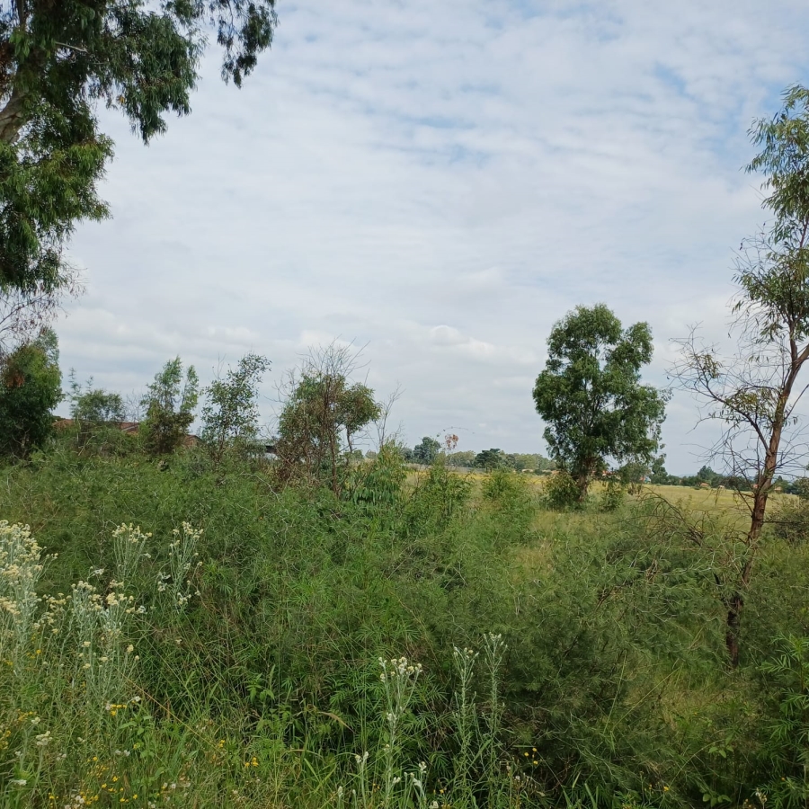 0 Bedroom Property for Sale in Ophir A H Gauteng