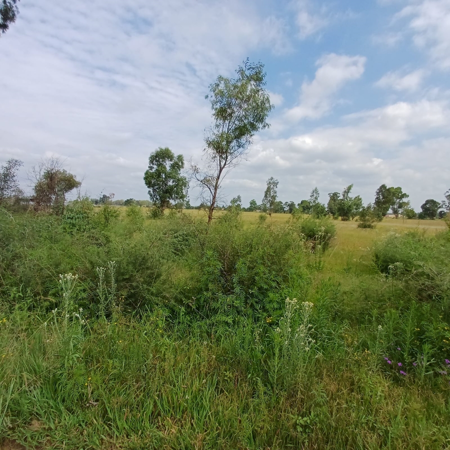 0 Bedroom Property for Sale in Ophir A H Gauteng