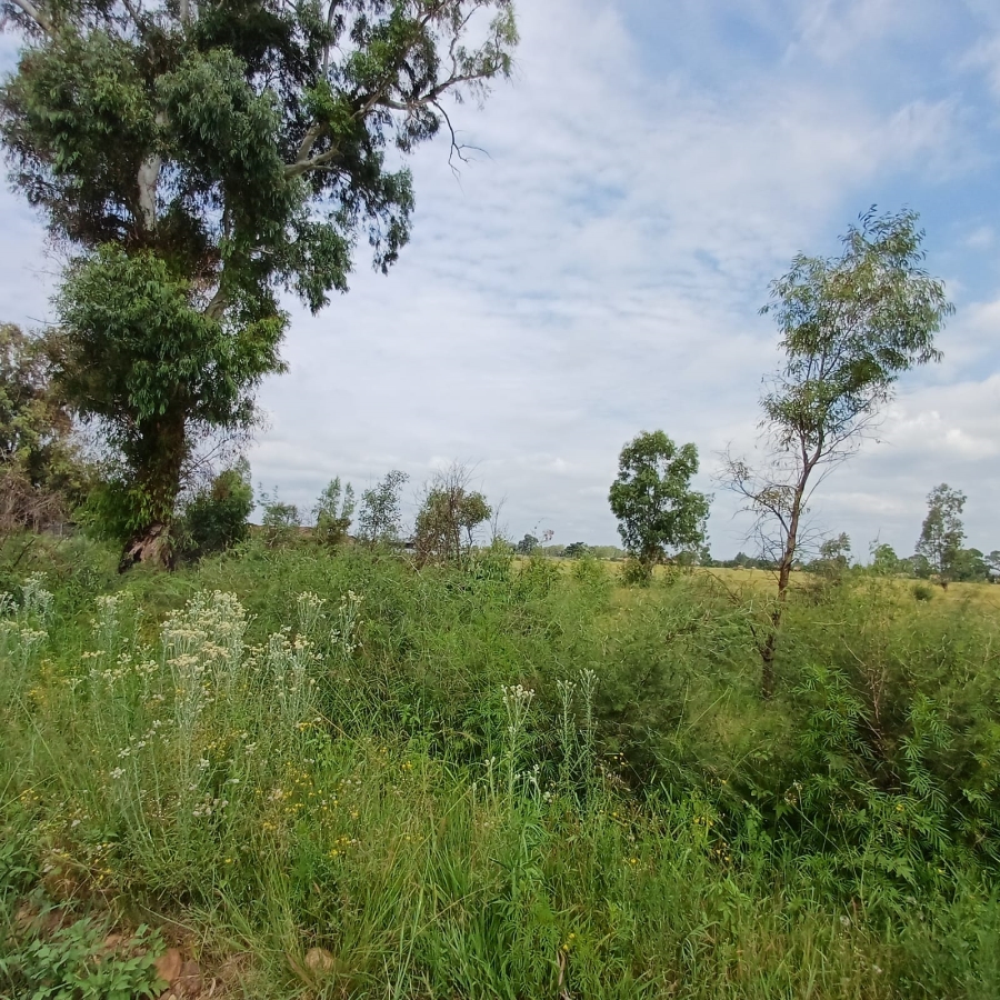 0 Bedroom Property for Sale in Ophir A H Gauteng