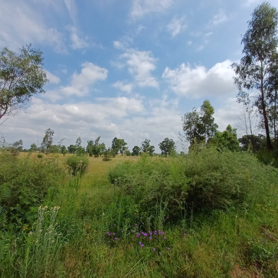 0 Bedroom Property for Sale in Ophir A H Gauteng