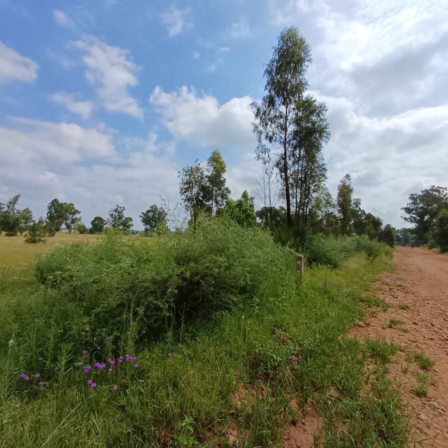 0 Bedroom Property for Sale in Ophir A H Gauteng