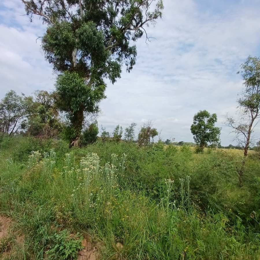 0 Bedroom Property for Sale in Ophir A H Gauteng