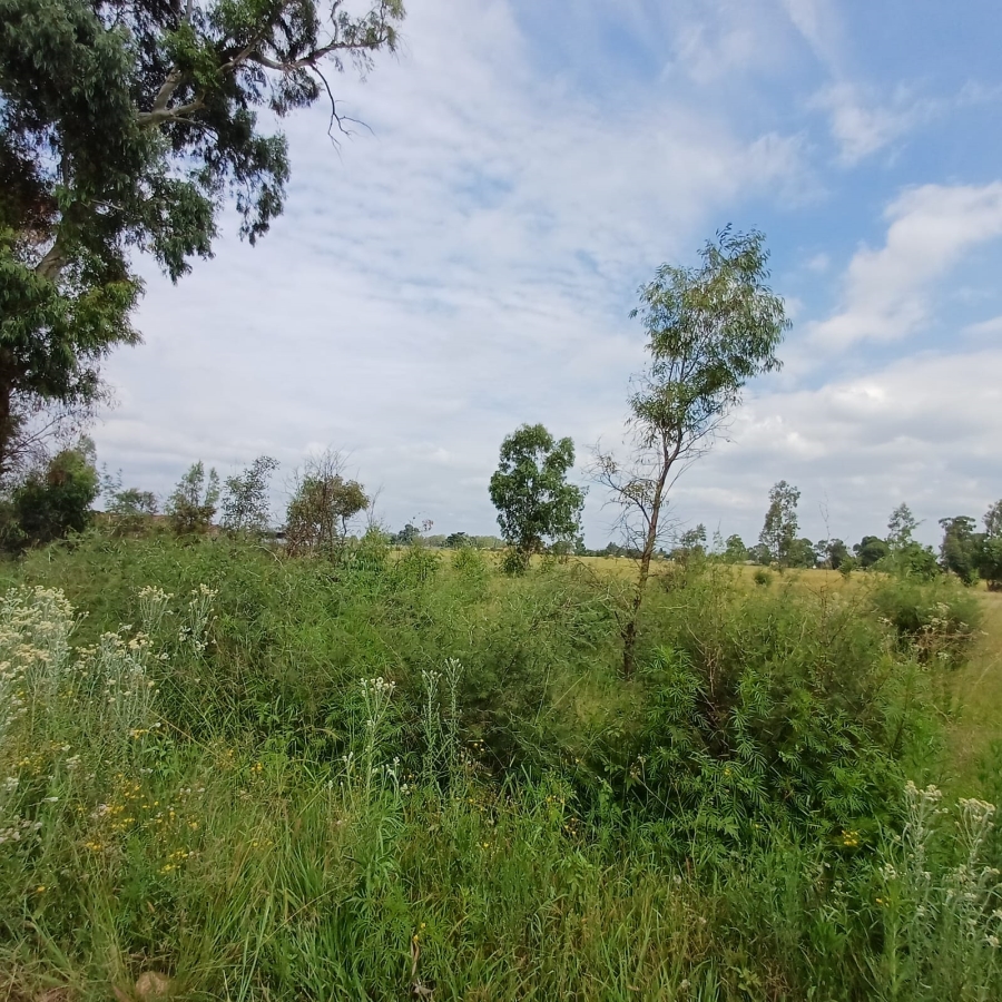 0 Bedroom Property for Sale in Ophir A H Gauteng
