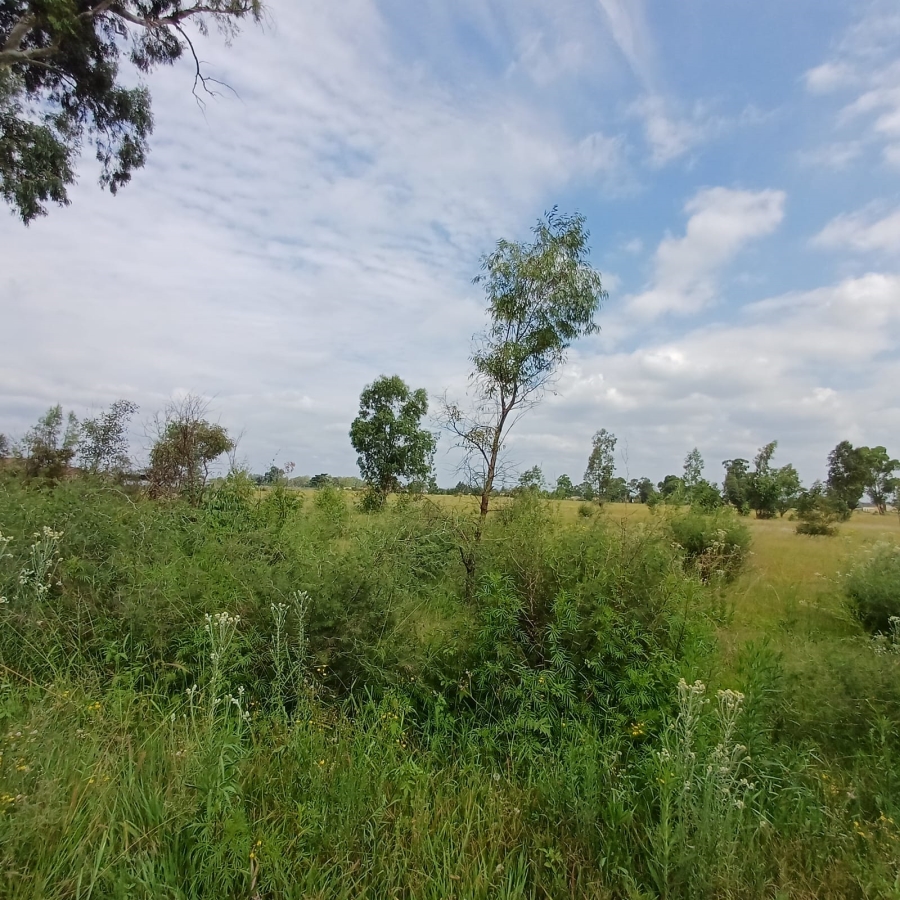 0 Bedroom Property for Sale in Ophir A H Gauteng