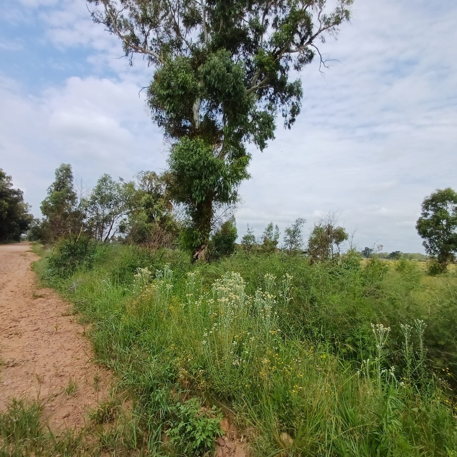 0 Bedroom Property for Sale in Ophir A H Gauteng