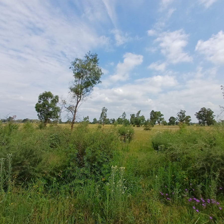 0 Bedroom Property for Sale in Ophir A H Gauteng