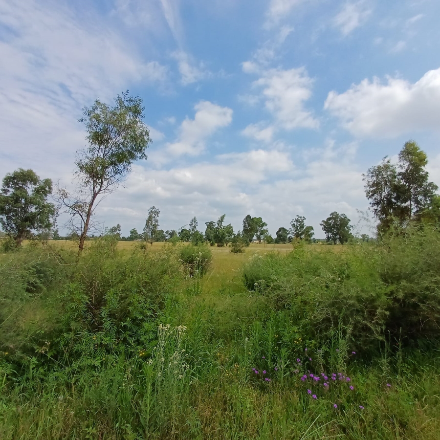 0 Bedroom Property for Sale in Ophir A H Gauteng