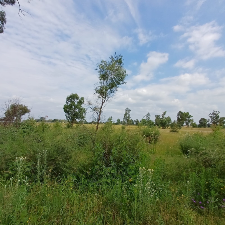 0 Bedroom Property for Sale in Ophir A H Gauteng