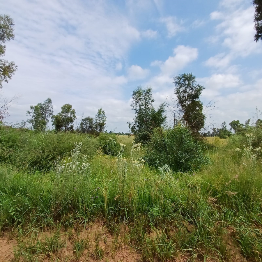 0 Bedroom Property for Sale in Ophir A H Gauteng