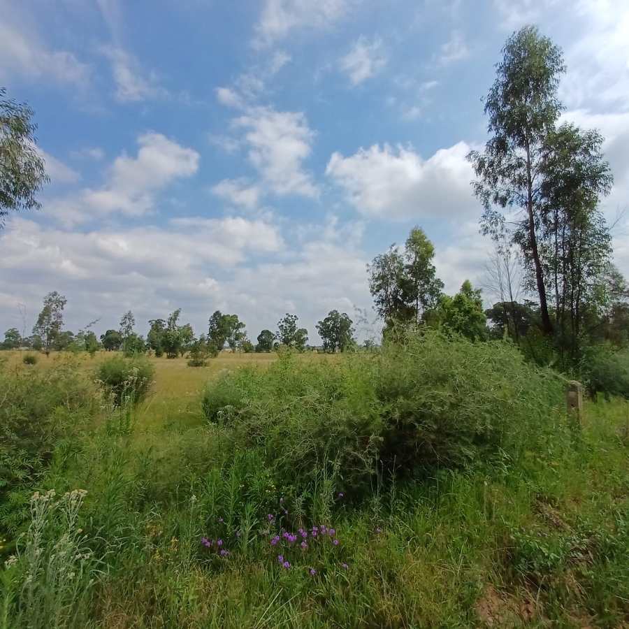 0 Bedroom Property for Sale in Ophir A H Gauteng