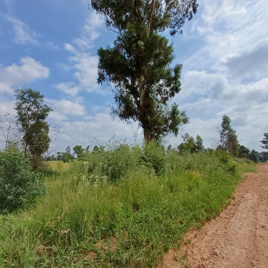 0 Bedroom Property for Sale in Ophir A H Gauteng