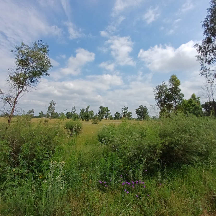 0 Bedroom Property for Sale in Ophir A H Gauteng