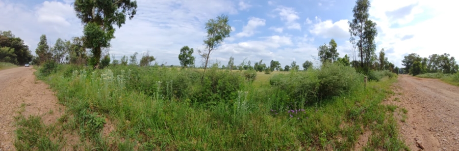 0 Bedroom Property for Sale in Ophir A H Gauteng