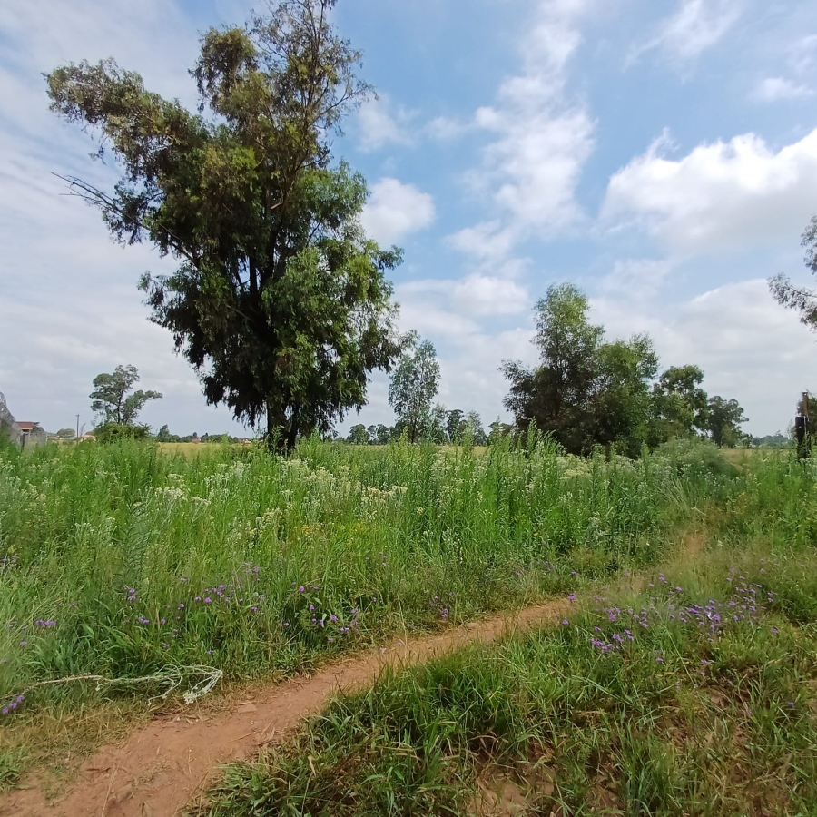 0 Bedroom Property for Sale in Ophir A H Gauteng