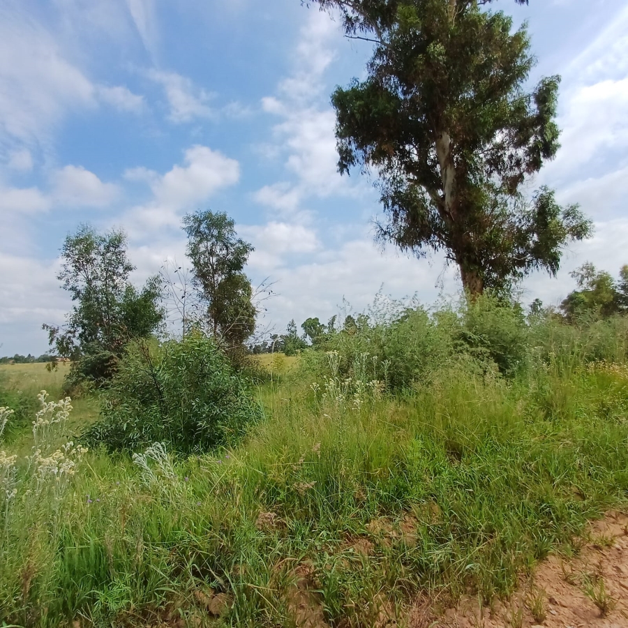 0 Bedroom Property for Sale in Ophir A H Gauteng