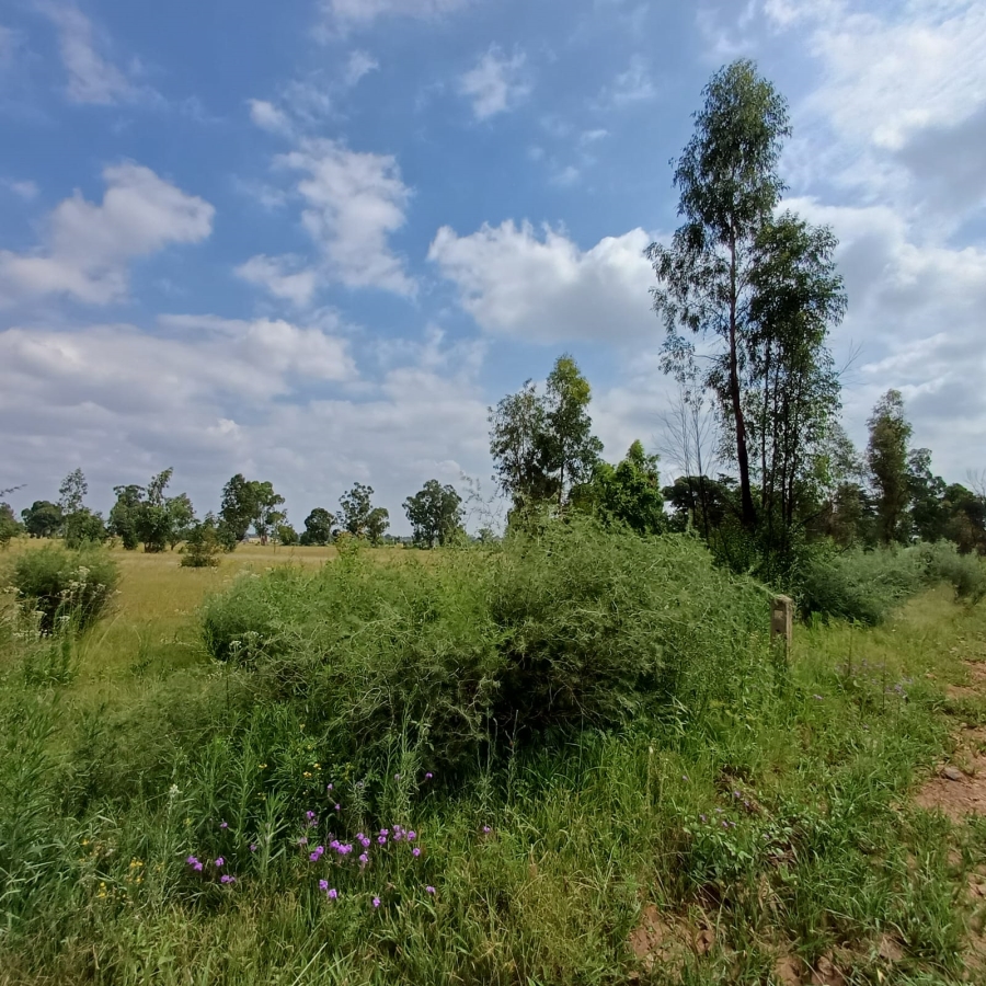 0 Bedroom Property for Sale in Ophir A H Gauteng