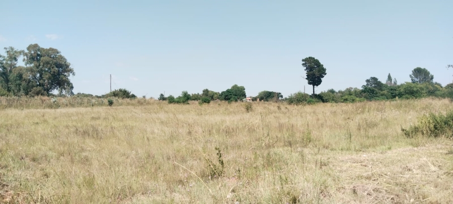0 Bedroom Property for Sale in Henley on Klip Gauteng