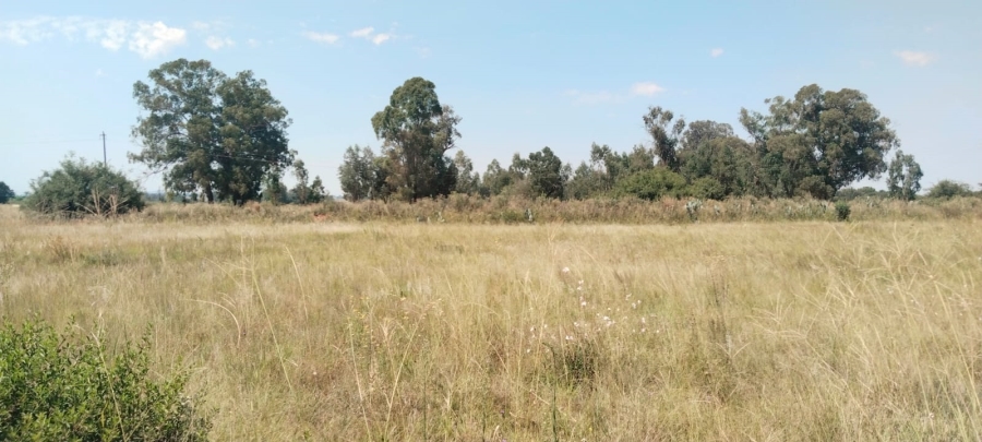 0 Bedroom Property for Sale in Henley on Klip Gauteng
