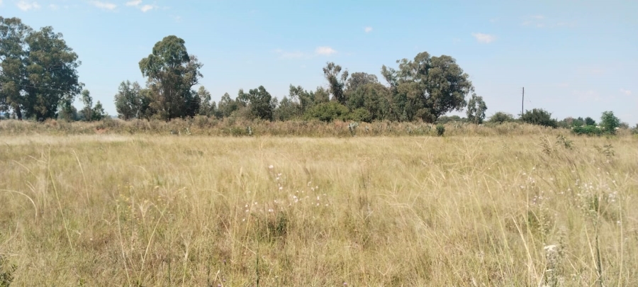 0 Bedroom Property for Sale in Henley on Klip Gauteng