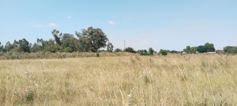 0 Bedroom Property for Sale in Henley on Klip Gauteng