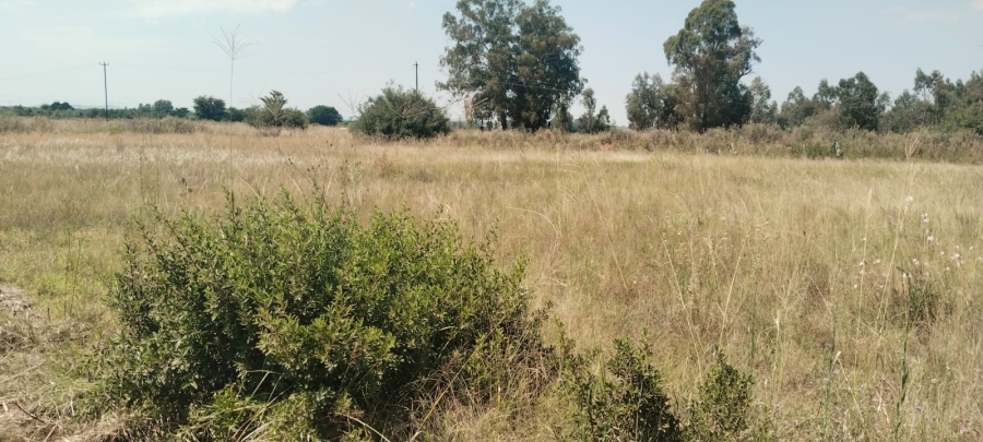 0 Bedroom Property for Sale in Henley on Klip Gauteng