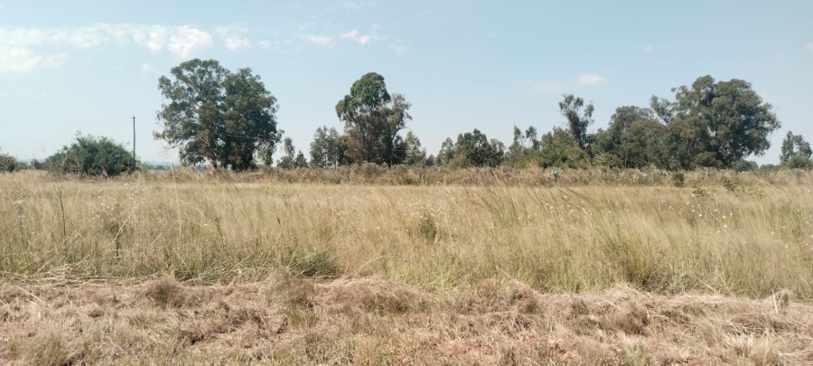 0 Bedroom Property for Sale in Henley on Klip Gauteng