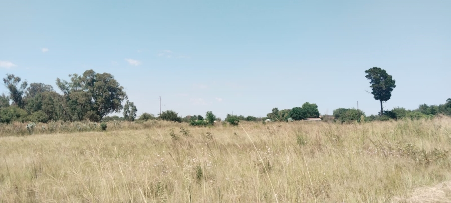 0 Bedroom Property for Sale in Henley on Klip Gauteng