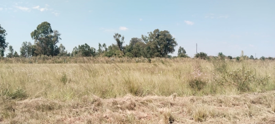 0 Bedroom Property for Sale in Henley on Klip Gauteng