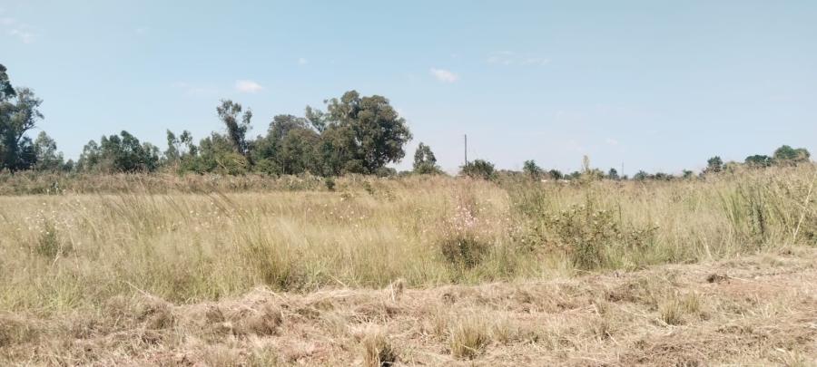 0 Bedroom Property for Sale in Henley on Klip Gauteng