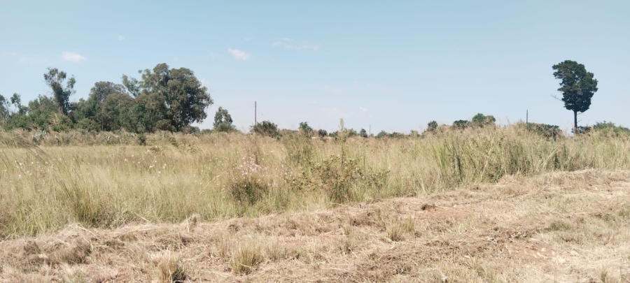 0 Bedroom Property for Sale in Henley on Klip Gauteng