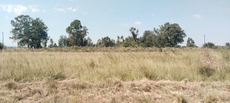 0 Bedroom Property for Sale in Henley on Klip Gauteng