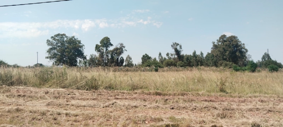 0 Bedroom Property for Sale in Henley on Klip Gauteng