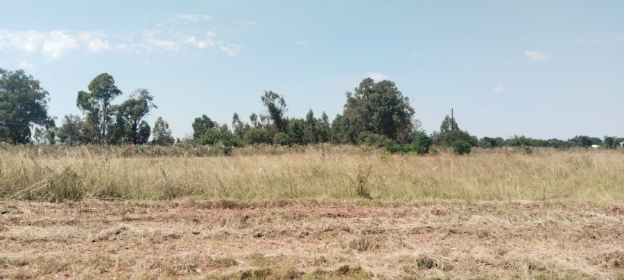 0 Bedroom Property for Sale in Henley on Klip Gauteng