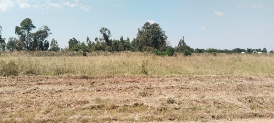 0 Bedroom Property for Sale in Henley on Klip Gauteng