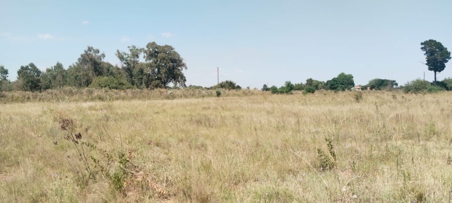 0 Bedroom Property for Sale in Henley on Klip Gauteng
