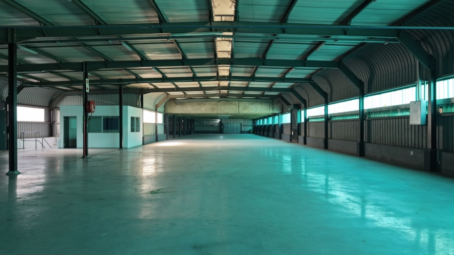 To Let Commercial Property for Rent in Meadowdale Gauteng