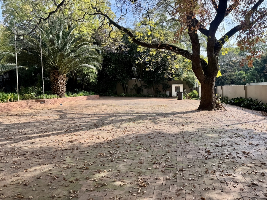 To Let Commercial Property for Rent in Melrose Gauteng