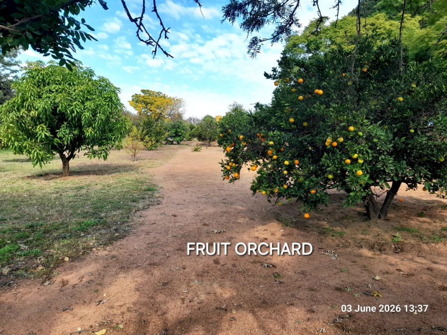6 Bedroom Property for Sale in Pretoria North Gauteng