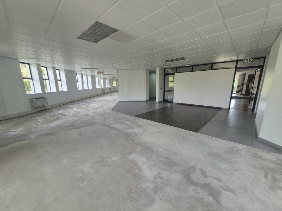 To Let Commercial Property for Rent in Illovo Gauteng
