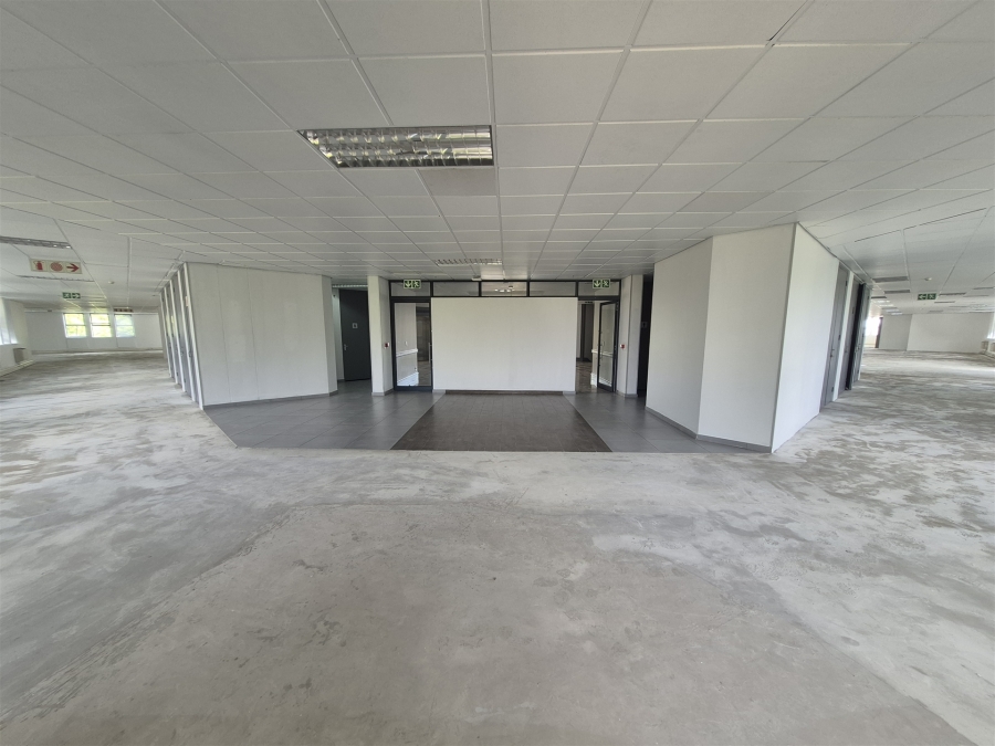 To Let Commercial Property for Rent in Illovo Gauteng